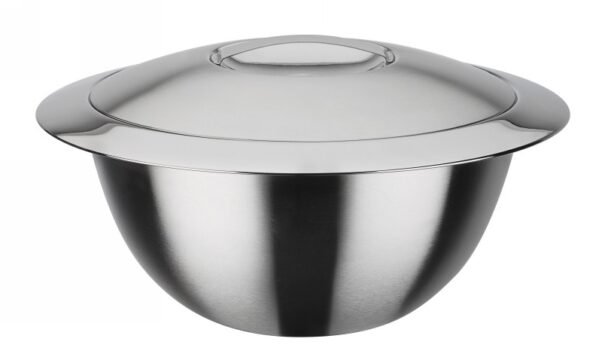 Metalinis termo dubenėlis GSW552424