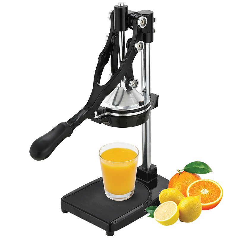 Profesionali citrus. vaisių sulčiaspaudė, ZY503BCJ - Image 2
